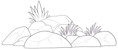 Siyah ve beyaz çizgili, yapraklı kayalar..