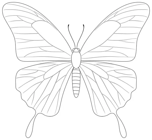 Vettore Bianco Nero Una Farfalla Dettagliata — Vettoriale Stock