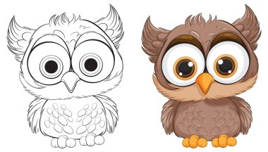 Vector illustration of an owl, colored and line art. clipart