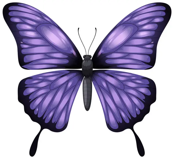 一个充满活力的紫色蝴蝶的矢量图形 — 图库矢量图片