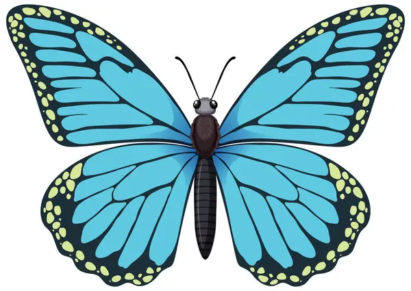 Eine Detaillierte Vektorgrafik Eines Blauen Schmetterlings lizenzfreie Stockillustrationen