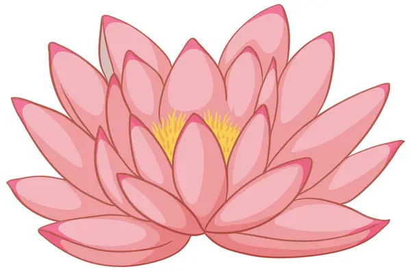 Vector Graphic Blooming Pink Lotus Flower — Stock Vector