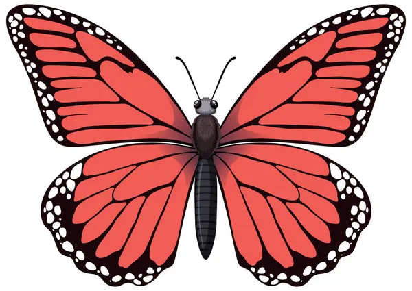 Een Gedetailleerde Kleurrijke Vector Van Een Rode Vlinder Stockillustratie