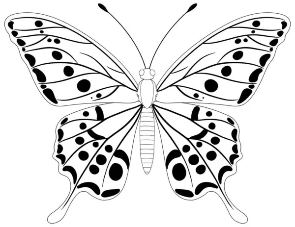 Чорно Біла Ілюстрація Метелика Стокова Ілюстрація