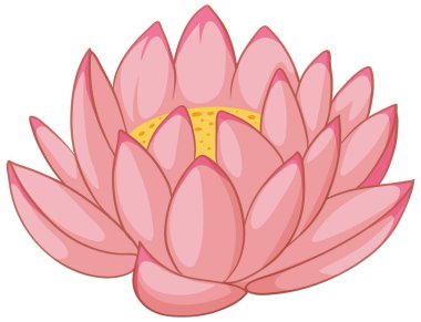 Çiçek açan pembe nilüfer çiçeğinin vektör grafiği