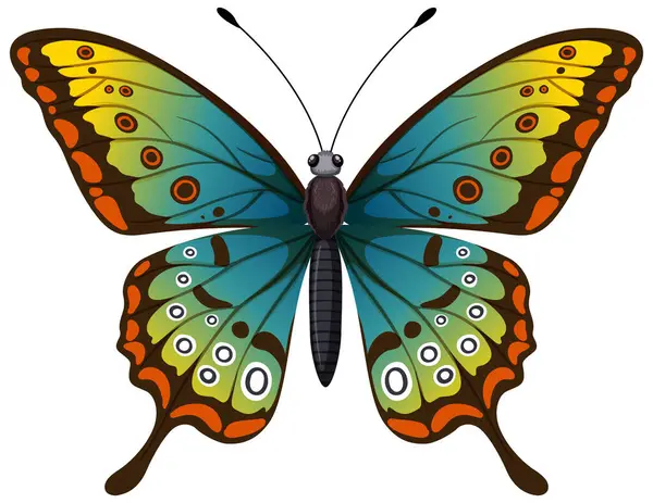 Kolorowy Motyl Szczegółowymi Wzorami Skrzydeł — Wektor stockowy