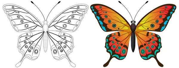ブラックとホワイト 鮮やかな色の蝶ベクター — ストックベクタ