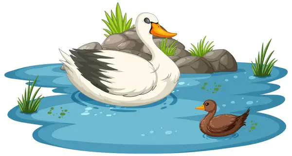 stock vector Vector illustration of ducks in a peaceful pond