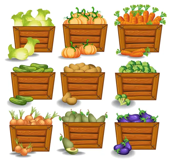 各种新鲜蔬菜装在乡村木箱里 免版税图库矢量图片