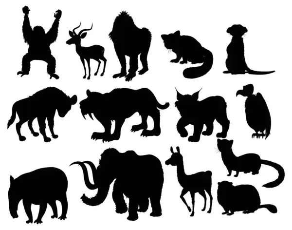 Collection Different Animal Silhouettes Black Illustrazioni Stock Royalty Free