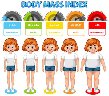 Visual representation of BMI categories and ranges clipart