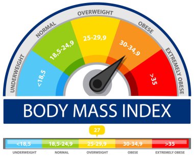 Ağırlık kategorilerini gösteren renkli BMI göstergesi