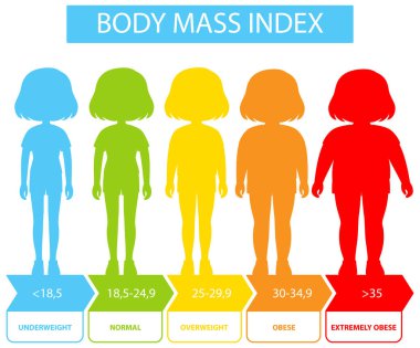 BMI kategori ve aralıklarının gösterimi