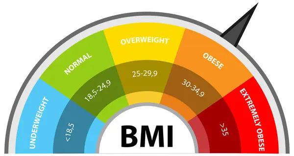 Kleurrijke Bmi Meter Met Gewichtsklassen Stockillustratie