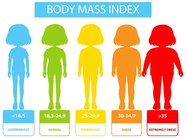 身体质量指数类别和范围的说明 免版税图库矢量图片