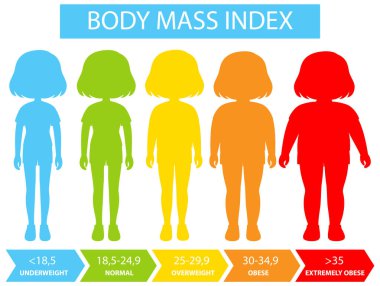 BMI kategori ve aralıklarının gösterimi