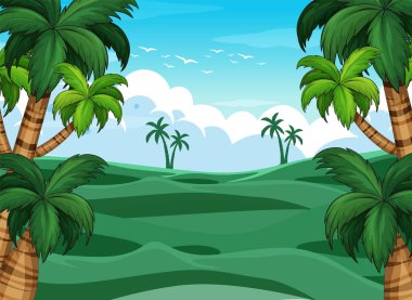 Palmiye ağaçları ile yemyeşil manzara