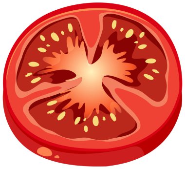 Dilimlenmiş domatesin ayrıntılı vektörü