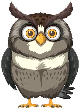 Anlamlı gözleri ve tüyleri olan çizgi film baykuşu