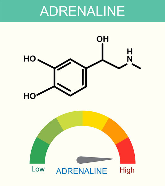 Illustration of adrenaline molecule and level indicator