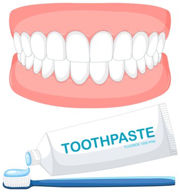 Diş fırçası, diş macunu ve diş fırçası.