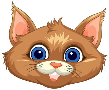 Sevimli kedi yüzlü, büyük mavi gözlü