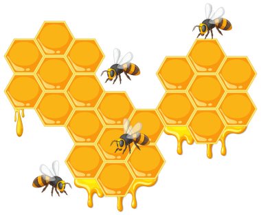 Bees working on honeycomb with dripping honey clipart