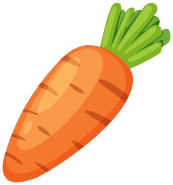 Yeşil yapraklı parlak turuncu havuç.