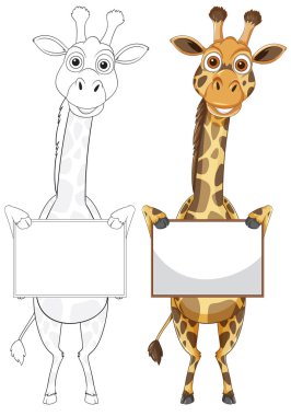 Tabelalı iki zürafa, biri renkli, biri çizili.