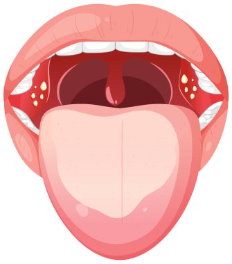 Ağız ve boğaz anatomisinin ayrıntılı vektörü