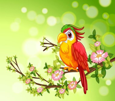 Pembe çiçekler ve yeşil arka planla dallara tünemiş canlı bir papağan.