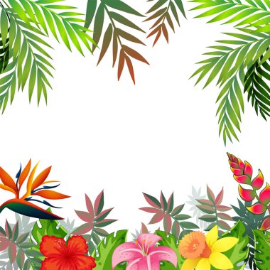 Renkli tropikal çiçekler ve yapraklar dekoratif bir sınır çerçevesi oluşturuyor
