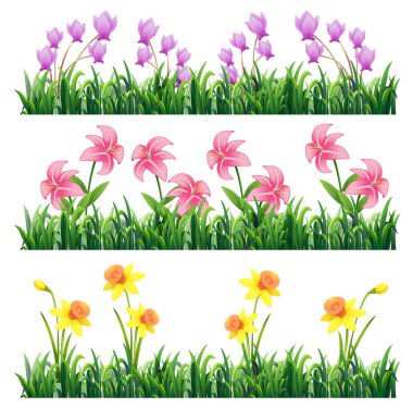 Laleler, zambaklar ve yemyeşil otlardaki nergislerin yer aldığı çiçek sınırlarının renkli vektör çizimi