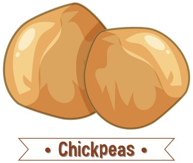 Yumuşak gölgeleme ve sıcak renklere sahip iki nohut şeklindeki vektör çizimi, yiyecekle ilgili tasarımlar için idealdir