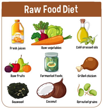 Bir ızgara düzeninde meyve, sebze ve yağlar da dahil olmak üzere ham gıda diyetinin kilit bileşenlerini vurgulayan renkli vektör illüstrasyonu