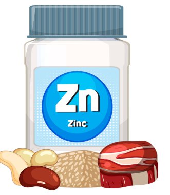 Çeşit çeşit fındık, tohum ve temiz, düz bir şekilde kırmızı et parçasıyla çevrili çinko takviye kabının vektör çizimi