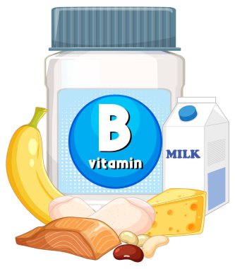 Muz, süt, peynir, somon, tavuk ve fasulye ile çevrili B vitamini takviye şişesinin vektör çizimi