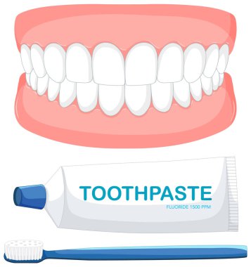 Diş, diş macunu ve diş fırçası vektör çizimi