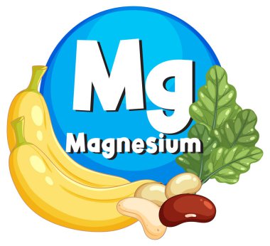 Muz, yapraklı yeşiller ve fındıklar dahil Magnezyum kaynaklarının renkli vektör çizimi, kalın metin ve temiz çizgi film biçimi kompozisyonu