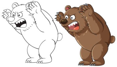 Kızgın bir ayının hem renkli hem de ana hatları çizilmiş, dışavurumsal özellikleri ve dinamik duruşu olan, vektör çizimi