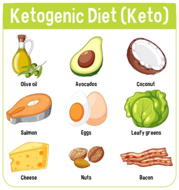 Temel ketojenik diyet gıdalarının vektör çizimi, canlı renkler ve kolay anlamak için açık etiketleme