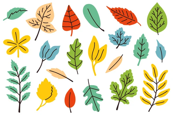 Векторный Иллюстрационный Набор Красивых Цветных Осенних Листьев Цифровой Печати Поздравительной — стоковый вектор