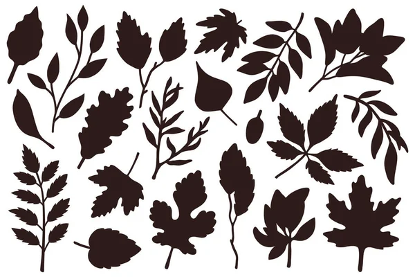 Vector Illustration Set Cute Doodle Silhouettes Autumn Leaves Digital Stamp — Stock Vector