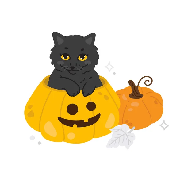 Vector Illustration Cute Cartoon Black Cat Sits Halloween Pumpkin Digital — Stock Vector
