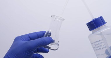 Küf şişedeki besin maddesinde büyümüş; gri-yeşil hava miselyumu ve sıvı damlacıkları görülebilir..