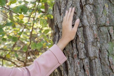 Ormanın çam ağacı gövdesini okşayan bir kızın eli. Kışlık ekose gömlek. Yatay Olarak Kapat