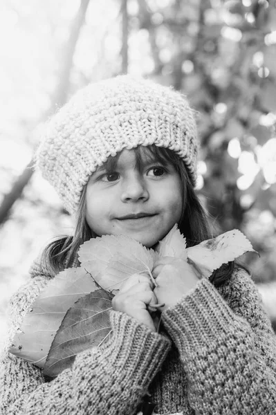 Sonbahar güneşli parkta yürürken elinde sarı akçaağaç yaprakları tutan sevimli küçük bir kız çocuğu ve doğa kavramı olan parkta ya da ormanda duran küçük bir kızın portresi.