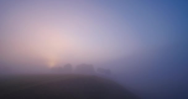 Ανατολή Ηλίου Μέσα Από Την Πυκνή Ομίχλη Πρωί Μυστικιστικό Πρωί — Αρχείο Βίντεο