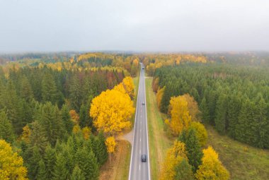 Güzel sonbahar ormanlarında kırmızı arabalı hava manzaralı bir yol. Kırsal yolu olan güzel bir manzara, kırmızı ve turuncu yapraklı ağaçlar. Parkın içinden otoyol. Üst Manzara. Doğa arkaplanı.