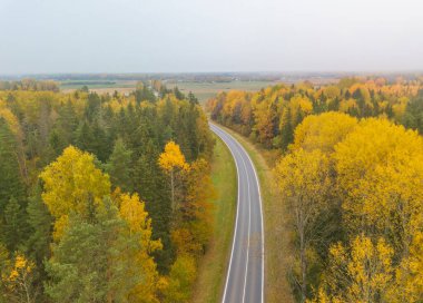 Güzel sonbahar ormanlarında kırmızı arabalı hava manzaralı bir yol. Kırsal yolu olan güzel bir manzara, kırmızı ve turuncu yapraklı ağaçlar. Parkın içinden otoyol. Üst Manzara. Doğa arkaplanı.